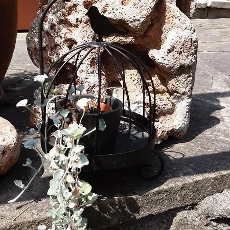 Hotel Motivi Saints Constantine and Helena