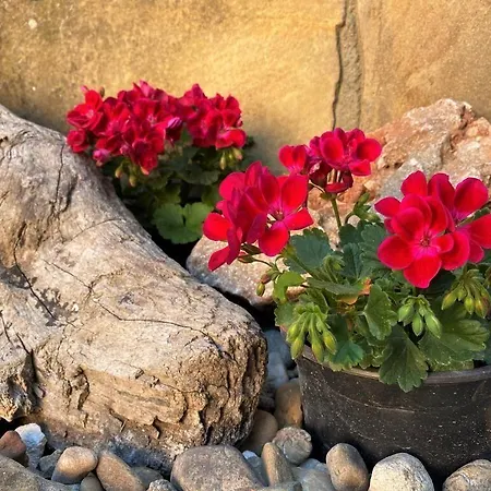 Motivi Hotel Saints Constantine and Helena