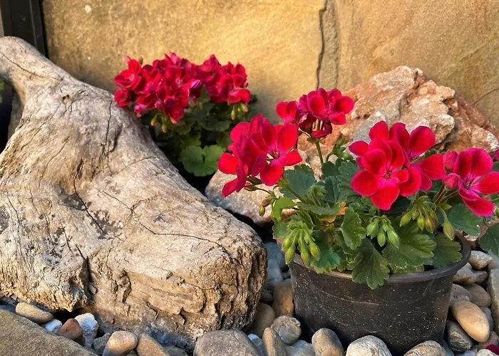 Motivi Hotel Saints Constantine and Helena